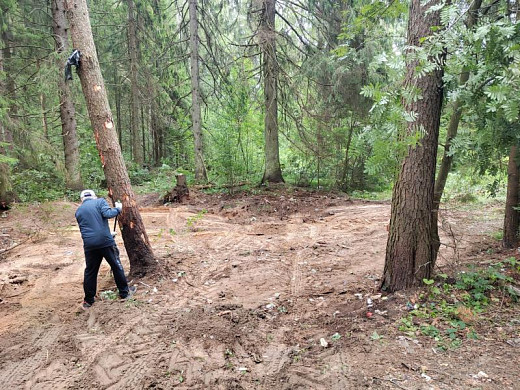 В Тейковском районе со свалки в лесу вывезли 60 кубометров отходов